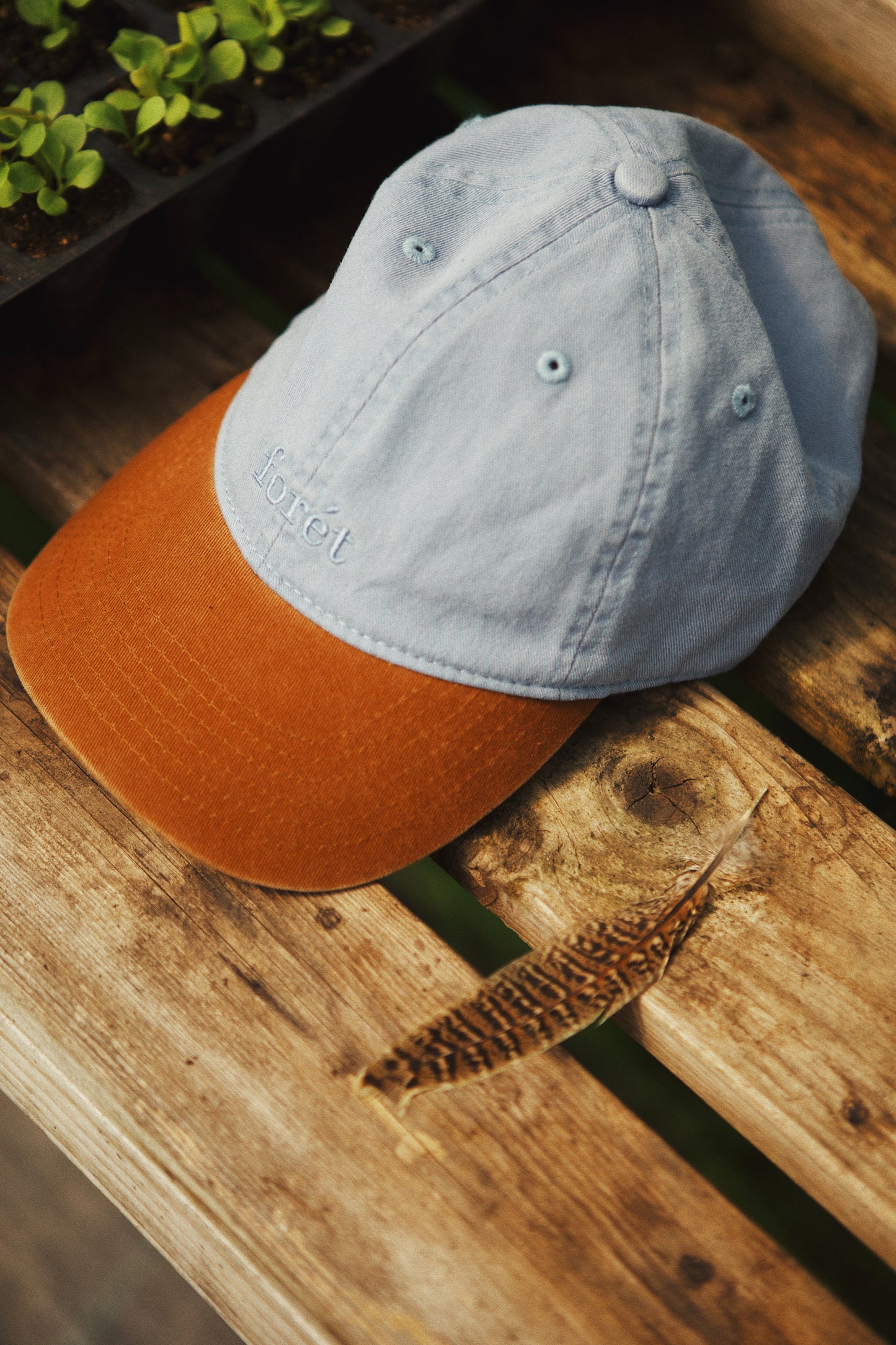 HAWK WASHED 2 TONE CAP- BLUE/BROWN
