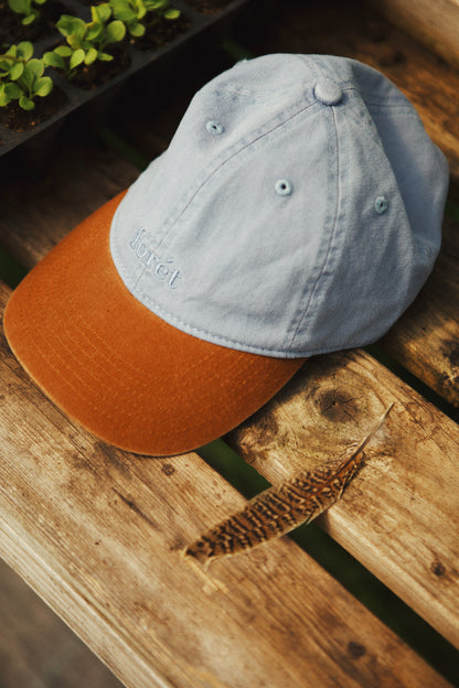 HAWK WASHED 2 TONE CAP- BLUE/BROWN