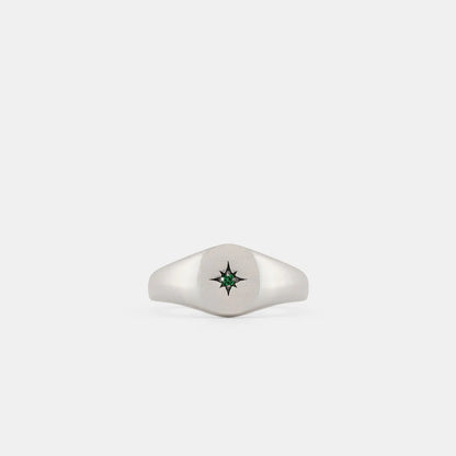 Silver Envy Ring